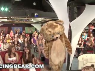 Menari beruang - liar majlis kanak-kanak perempuan menghisap off besar ahli lelaki pengayun!